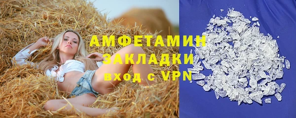 гидра Алексин