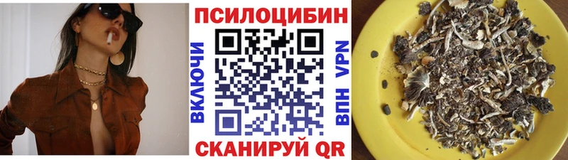 Псилоцибиновые грибы мицелий  что такое наркотик  кракен зеркало  Староминская 